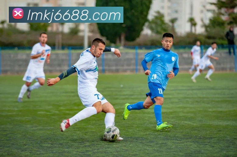 数据防护可视化